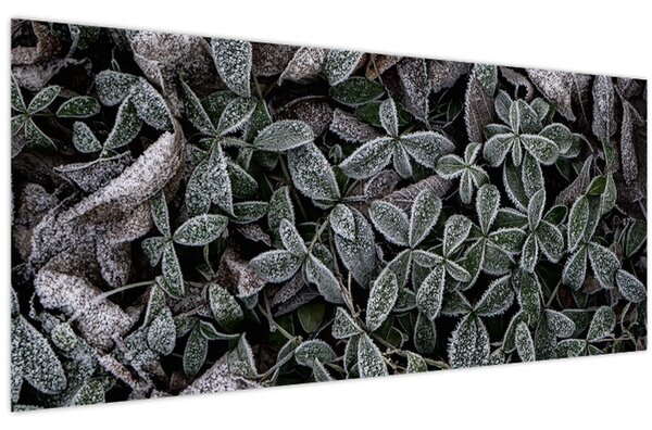 Kép - Fagyasztott növények (120x50 cm)
