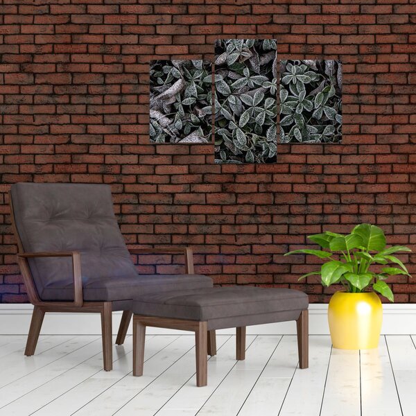 Kép - Fagyasztott növények (90x60 cm)
