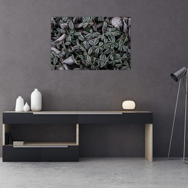 Kép - Fagyasztott növények (90x60 cm)