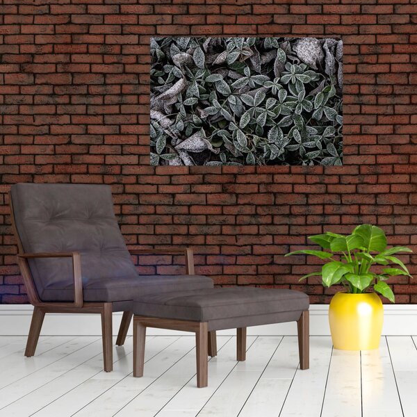 Kép - Fagyasztott növények (90x60 cm)