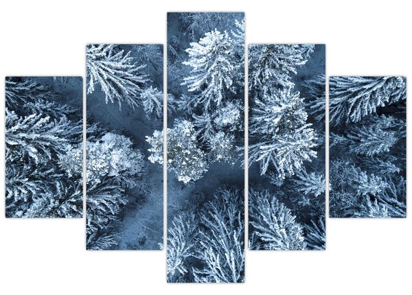 Kép - Havas erdő (150x105 cm)