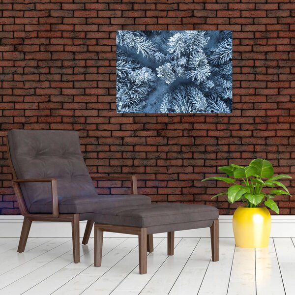 Kép - Havas erdő (70x50 cm)