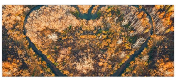 Kép - Szív alakú folyó (120x50 cm)