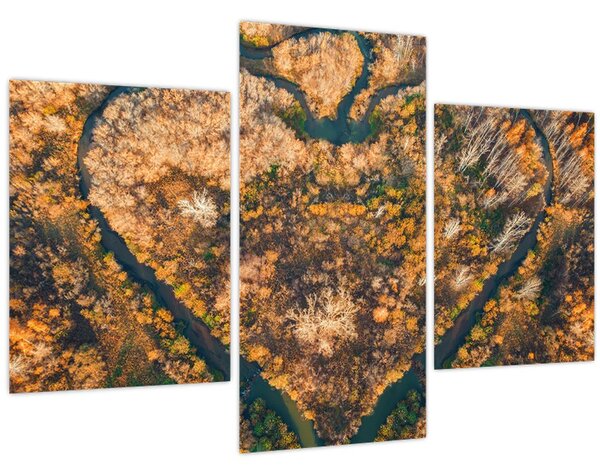 Kép - Szív alakú folyó (90x60 cm)