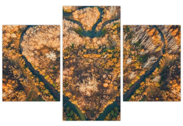 Kép - Szív alakú folyó (90x60 cm)