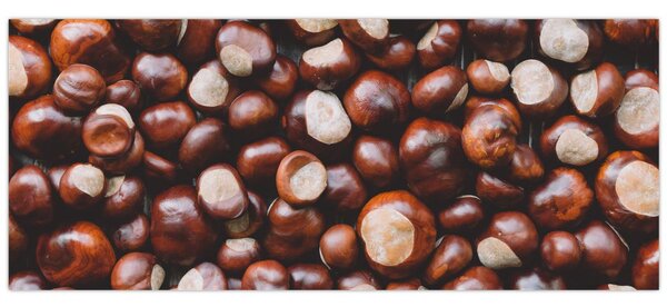 Kép - Érett gesztenye (120x50 cm)