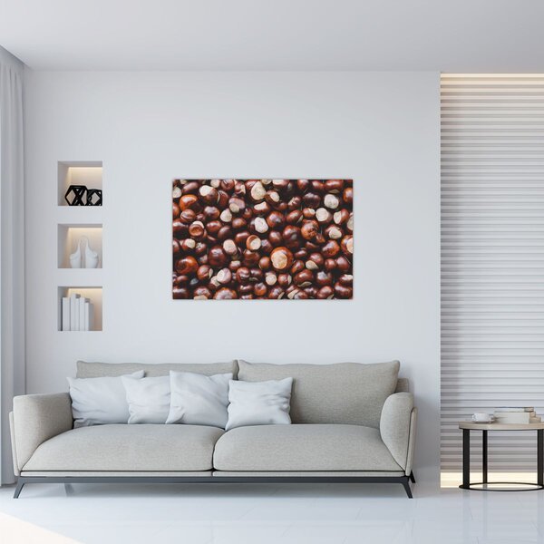 Kép - Érett gesztenye (90x60 cm)
