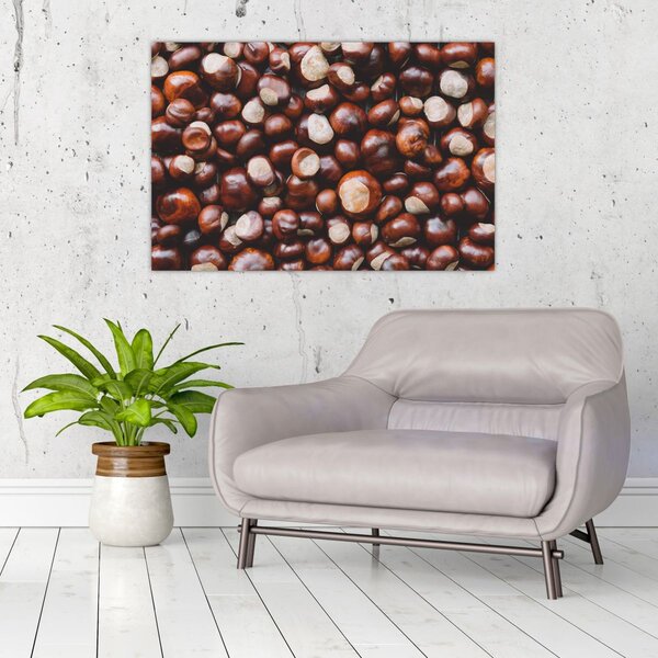 Kép - Érett gesztenye (90x60 cm)