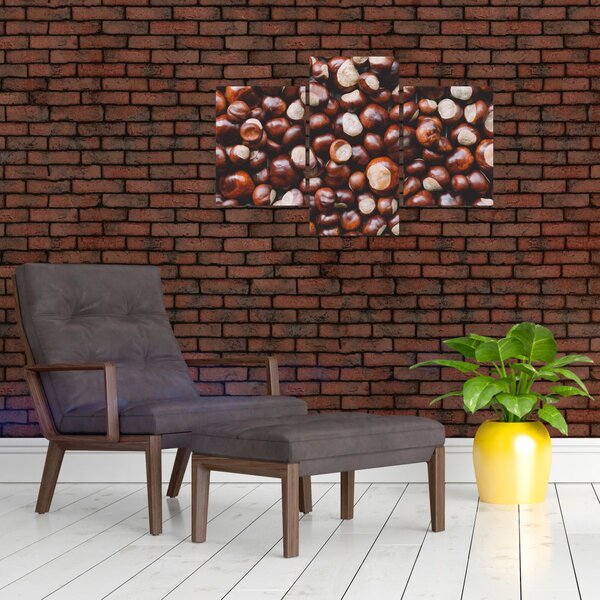 Kép - Érett gesztenye (90x60 cm)