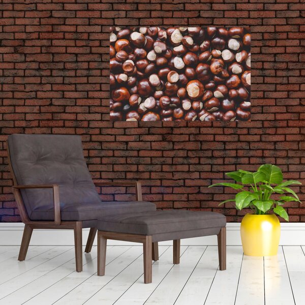 Kép - Érett gesztenye (90x60 cm)