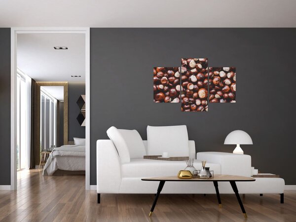 Kép - Érett gesztenye (90x60 cm)