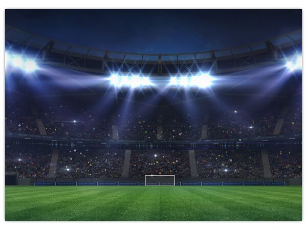 Kép - Labdarúgó stadion (70x50 cm)