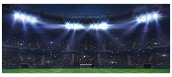 Kép - Labdarúgó stadion (120x50 cm)