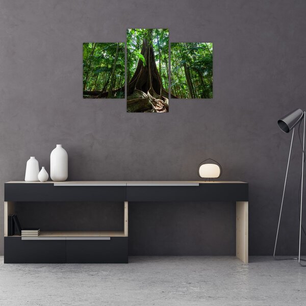Kép - A fa gyökerei (90x60 cm)