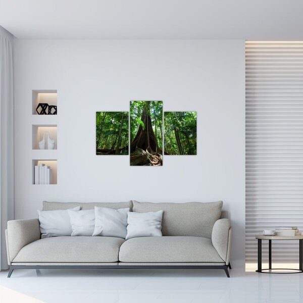 Kép - A fa gyökerei (90x60 cm)