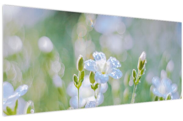 Kép - Finom virágok (120x50 cm)