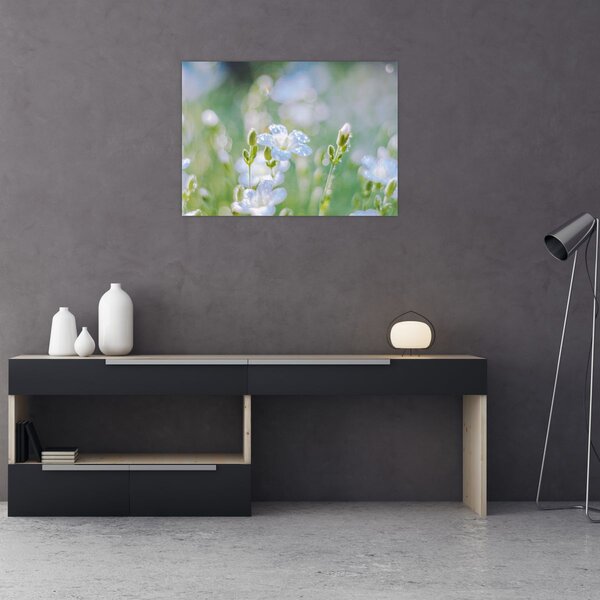Kép - Finom virágok (70x50 cm)