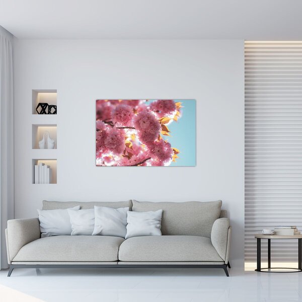 Kép - Cseresznyevirág (90x60 cm)
