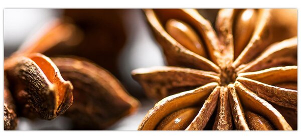 Kép - Anise (120x50 cm)