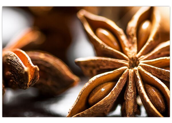Kép - Anise (90x60 cm)