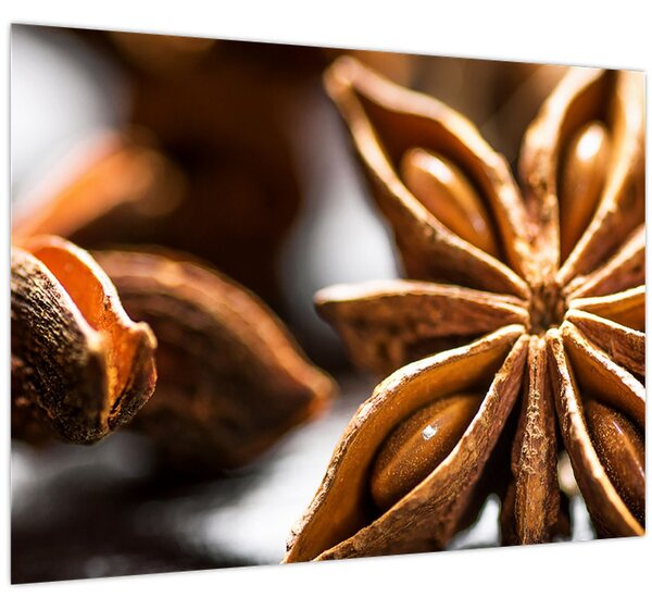 Kép - Anise (70x50 cm)