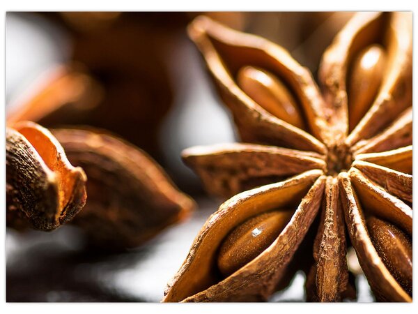 Kép - Anise (70x50 cm)