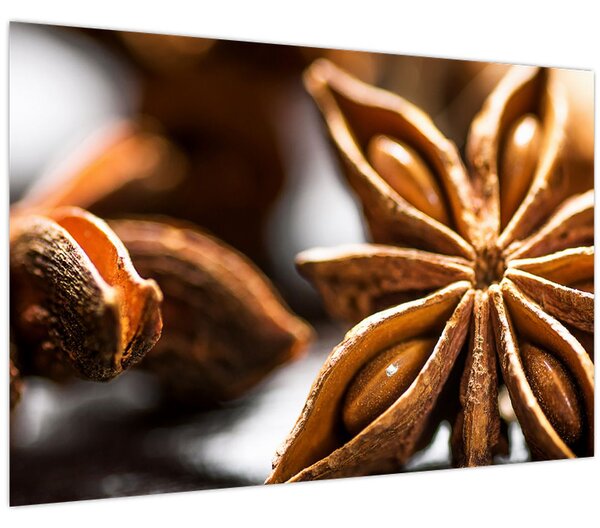 Kép - Anise (90x60 cm)