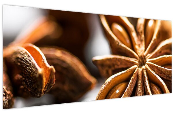 Kép - Anise (120x50 cm)