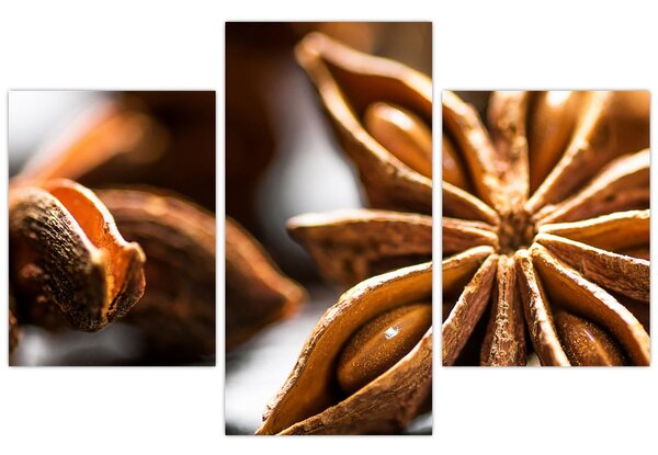 Kép - Anise (90x60 cm)