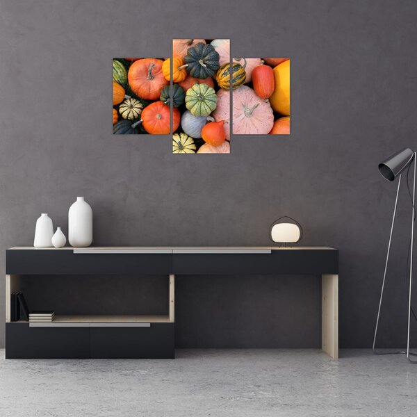 Kép - Tök (90x60 cm)