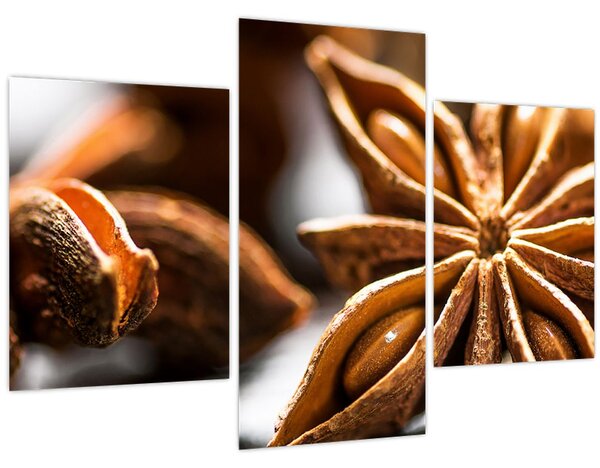 Kép - Anise (90x60 cm)