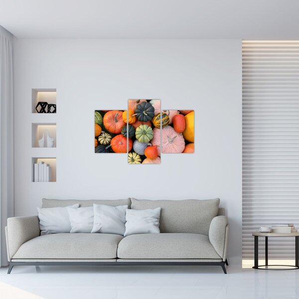 Kép - Tök (90x60 cm)