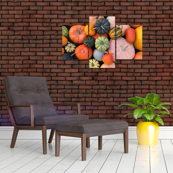 Kép - Tök (90x60 cm)