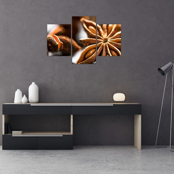 Kép - Anise (90x60 cm)