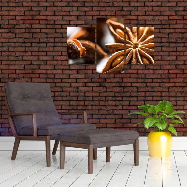 Kép - Anise (90x60 cm)