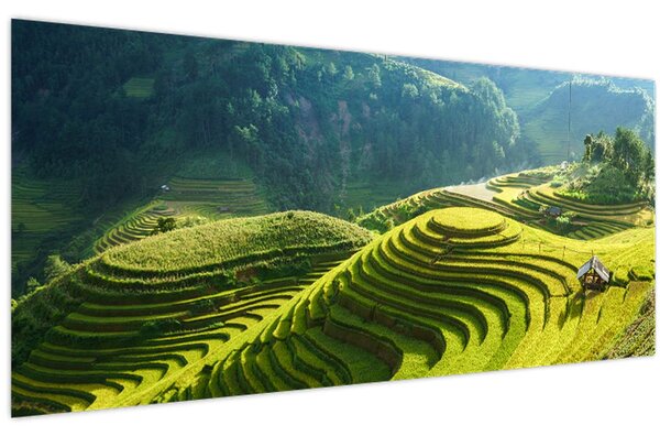 Kép - Rice Terraces koncert (120x50 cm)