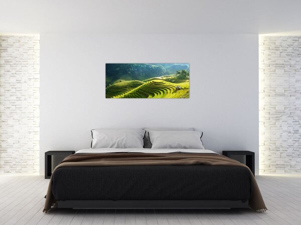 Kép - Rice Terraces koncert (120x50 cm)