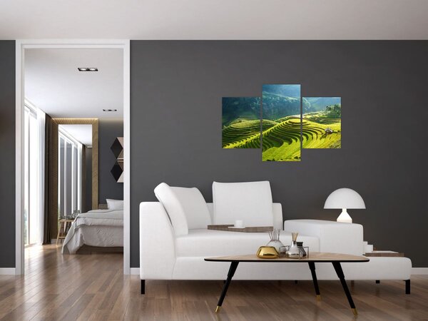 Kép - Rice Terraces koncert (90x60 cm)