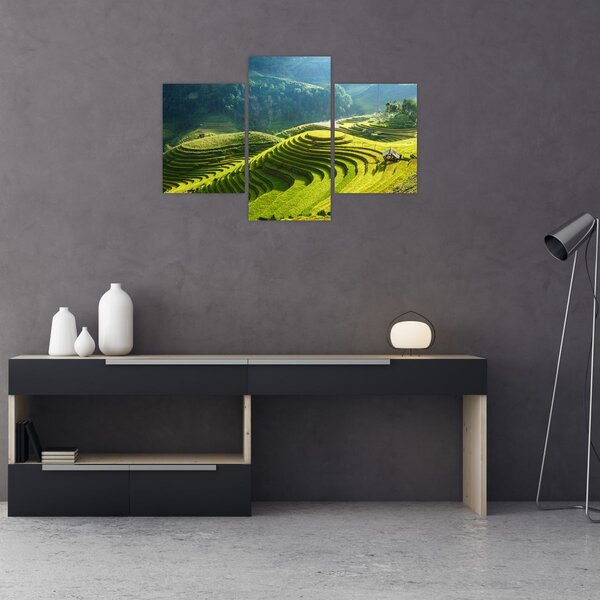 Kép - Rice Terraces koncert (90x60 cm)