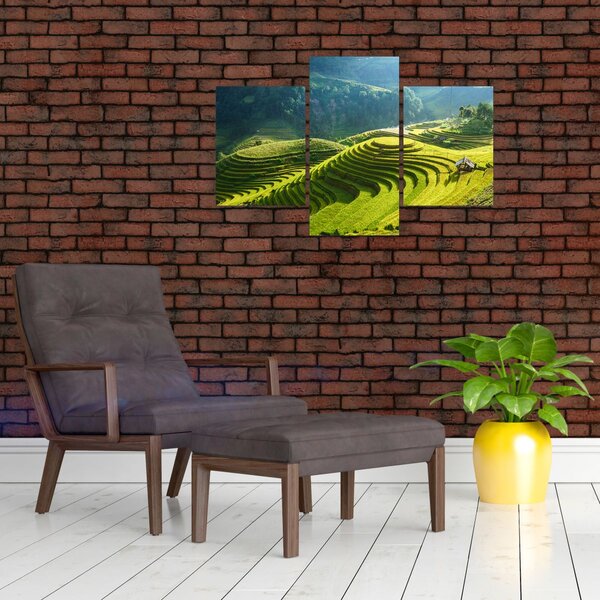 Kép - Rice Terraces koncert (90x60 cm)