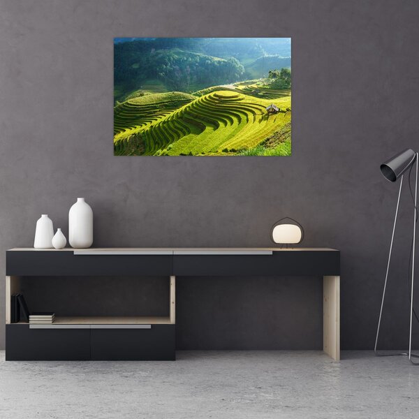 Kép - Rice Terraces koncert (90x60 cm)