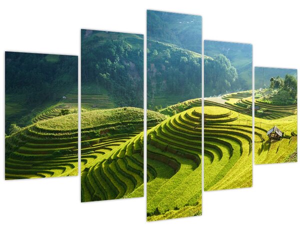 Kép - Rice Terraces koncert (150x105 cm)