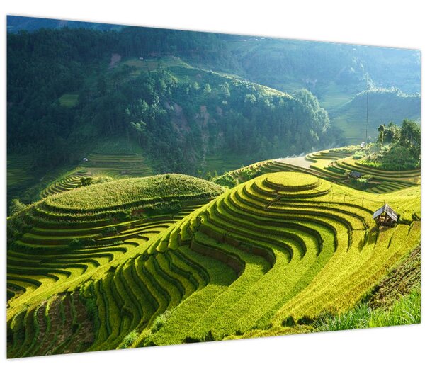 Kép - Rice Terraces koncert (90x60 cm)