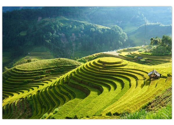 Kép - Rice Terraces koncert (90x60 cm)