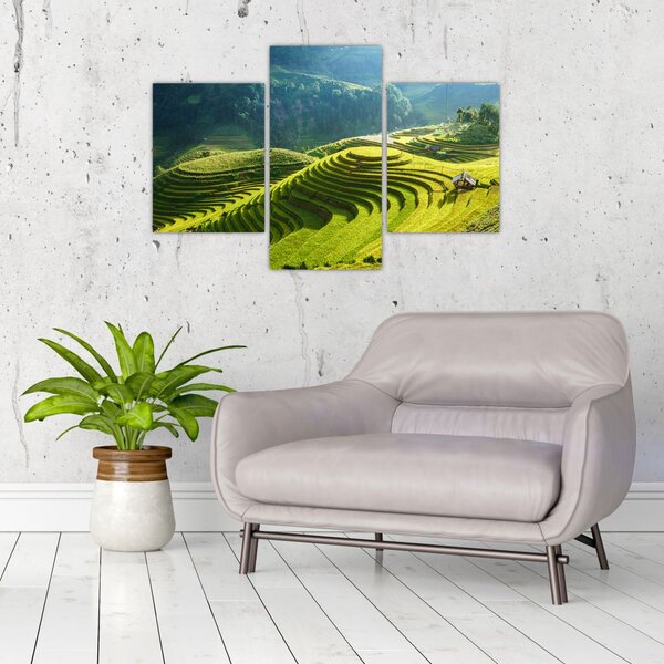 Kép - Rice Terraces koncert (90x60 cm)
