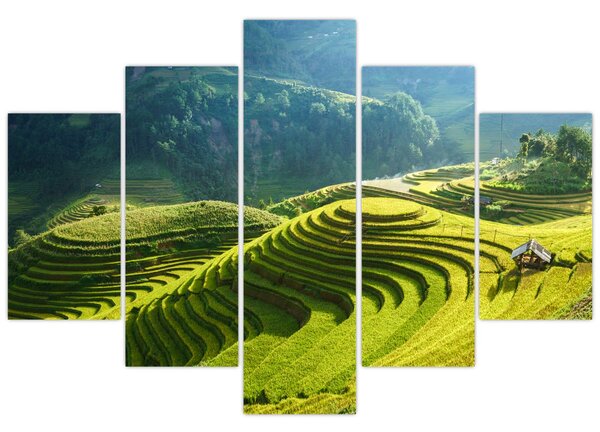 Kép - Rice Terraces koncert (150x105 cm)