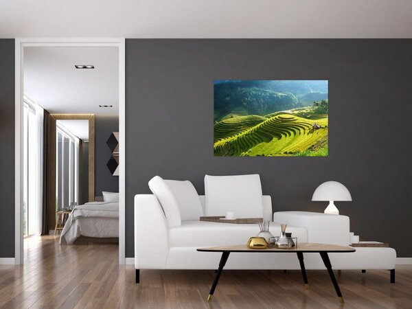 Kép - Rice Terraces koncert (90x60 cm)