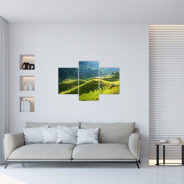 Kép - Rice Terraces koncert (90x60 cm)