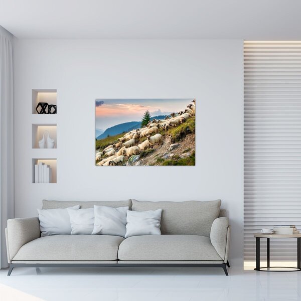 Kép - Egy nyáj birka (90x60 cm)