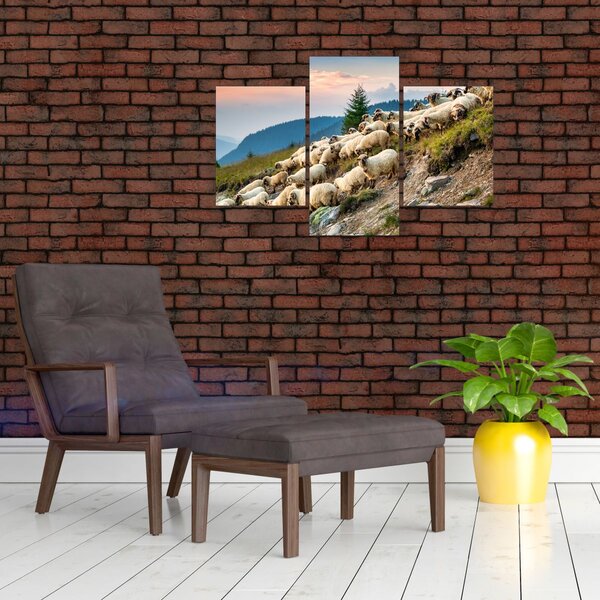Kép - Egy nyáj birka (90x60 cm)